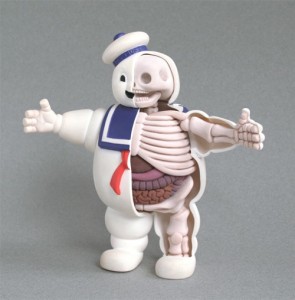anatomical stay puft marshmallow man