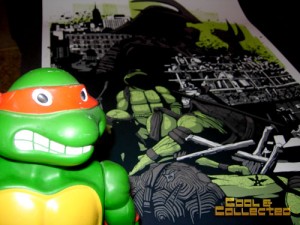 Mondo Teenage Mutant Ninja (TMNT) poster