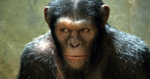 top 10 monkey movies Rise of the Planet of the Apes