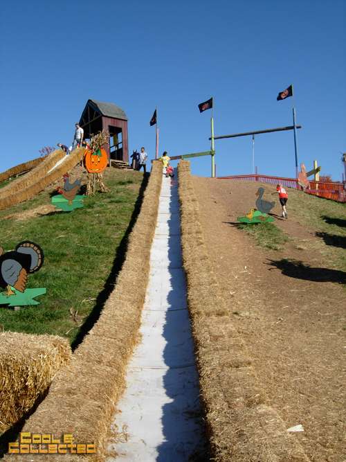cox farms giant slide
