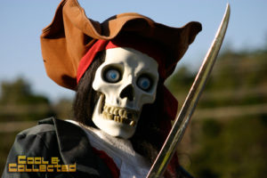 cox farms pirate skeleton